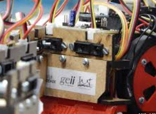 Photo Robot Sumo